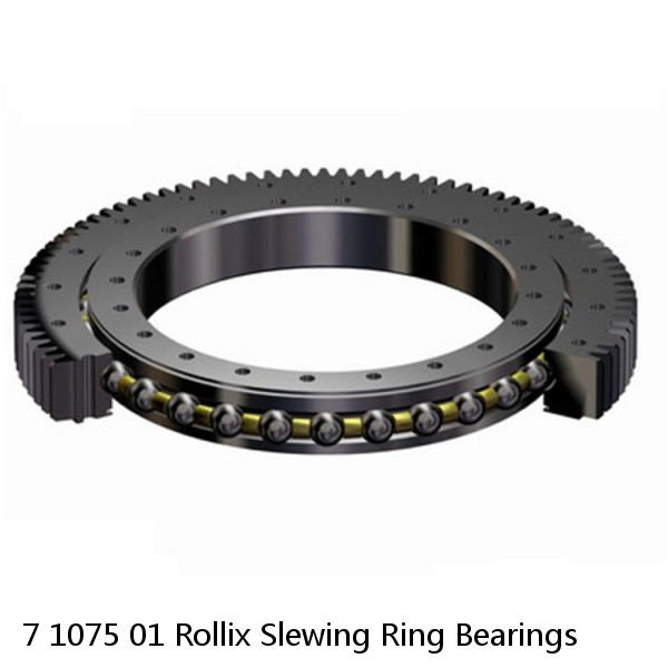 7 1075 01 Rollix Slewing Ring Bearings