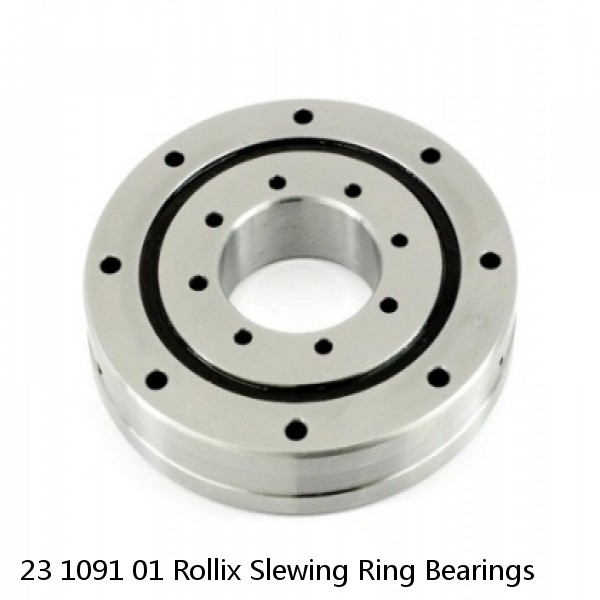 23 1091 01 Rollix Slewing Ring Bearings