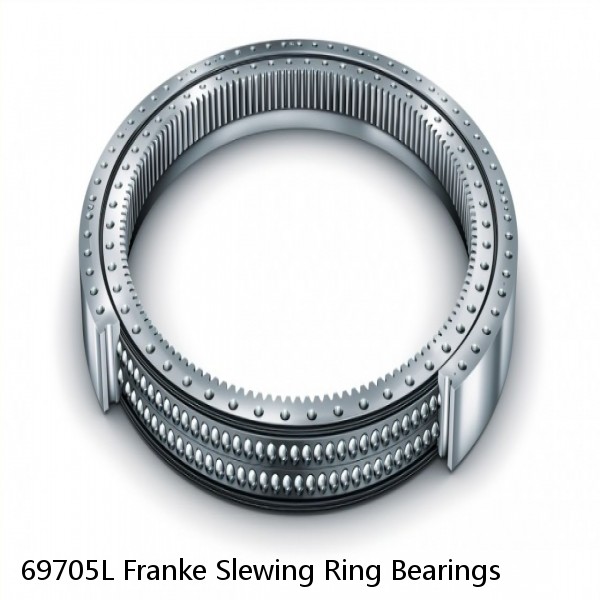 69705L Franke Slewing Ring Bearings