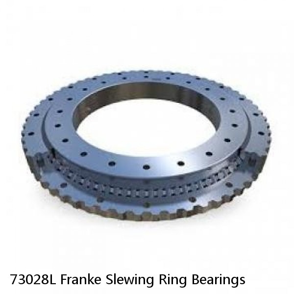 73028L Franke Slewing Ring Bearings