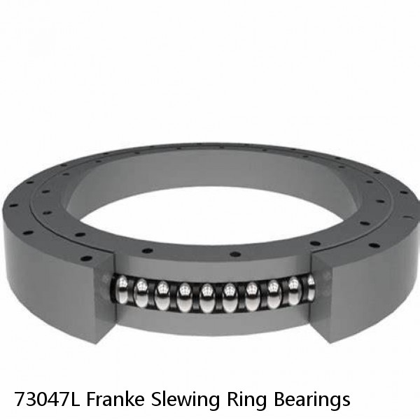 73047L Franke Slewing Ring Bearings