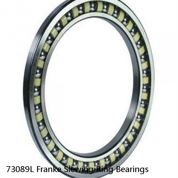 73089L Franke Slewing Ring Bearings