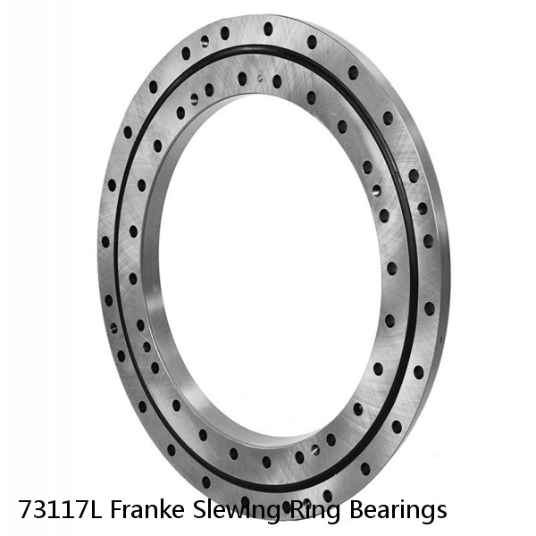 73117L Franke Slewing Ring Bearings