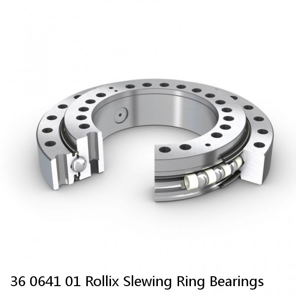 36 0641 01 Rollix Slewing Ring Bearings