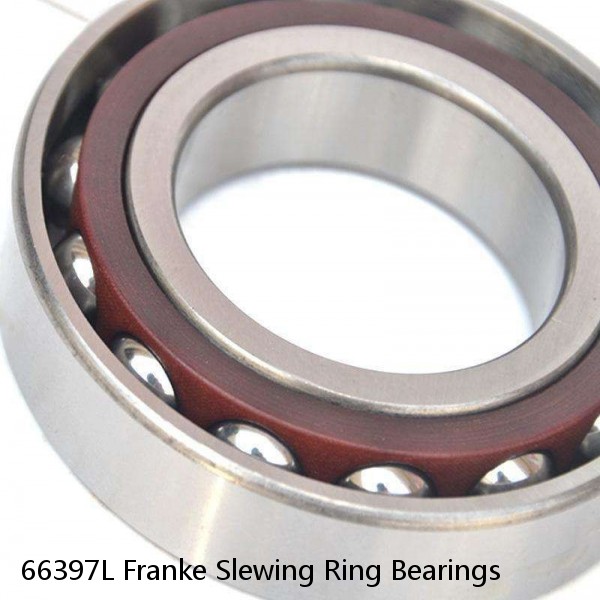 66397L Franke Slewing Ring Bearings