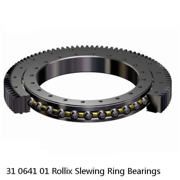 31 0641 01 Rollix Slewing Ring Bearings