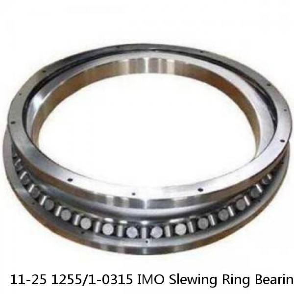 11-25 1255/1-0315 IMO Slewing Ring Bearings