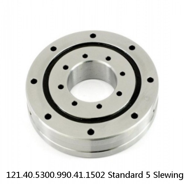 121.40.5300.990.41.1502 Standard 5 Slewing Ring Bearings