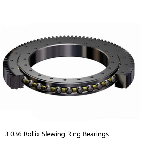 3 036 Rollix Slewing Ring Bearings