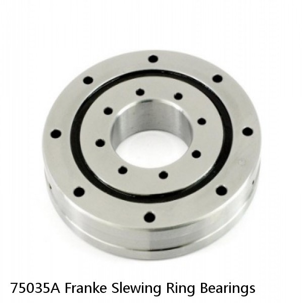 75035A Franke Slewing Ring Bearings