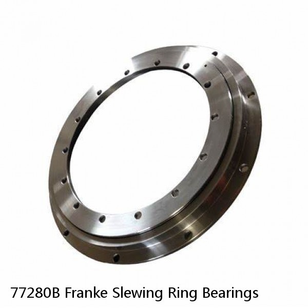 77280B Franke Slewing Ring Bearings