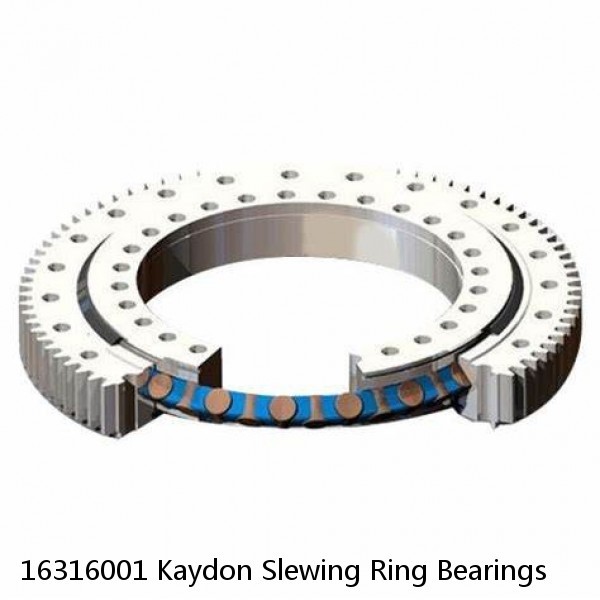 16316001 Kaydon Slewing Ring Bearings