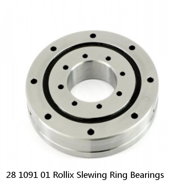 28 1091 01 Rollix Slewing Ring Bearings