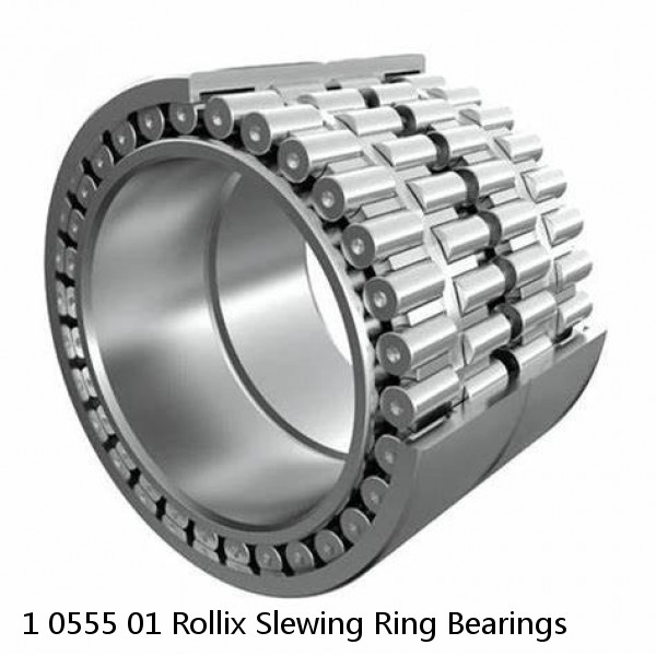 1 0555 01 Rollix Slewing Ring Bearings