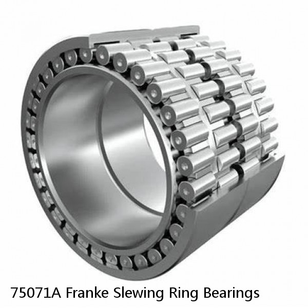 75071A Franke Slewing Ring Bearings