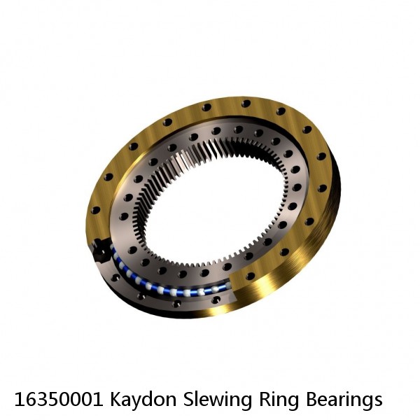 16350001 Kaydon Slewing Ring Bearings