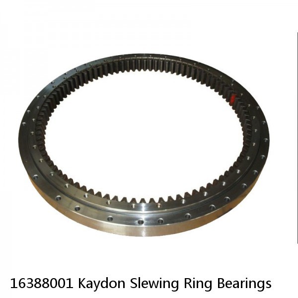 16388001 Kaydon Slewing Ring Bearings