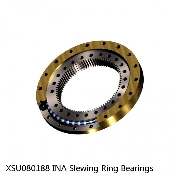 XSU080188 INA Slewing Ring Bearings